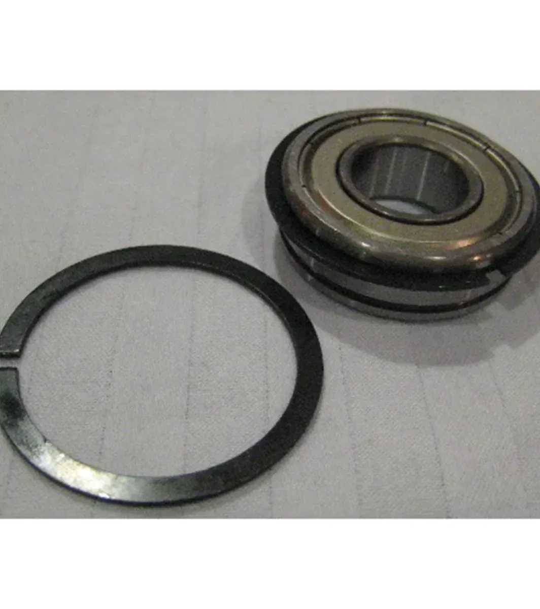 Schwinn Airdyne Evolution Roller Bearing — Indoor Cycling Parts