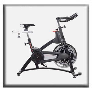 Schwinn IC Pro20 Parts