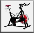 Schwinn IC Elite