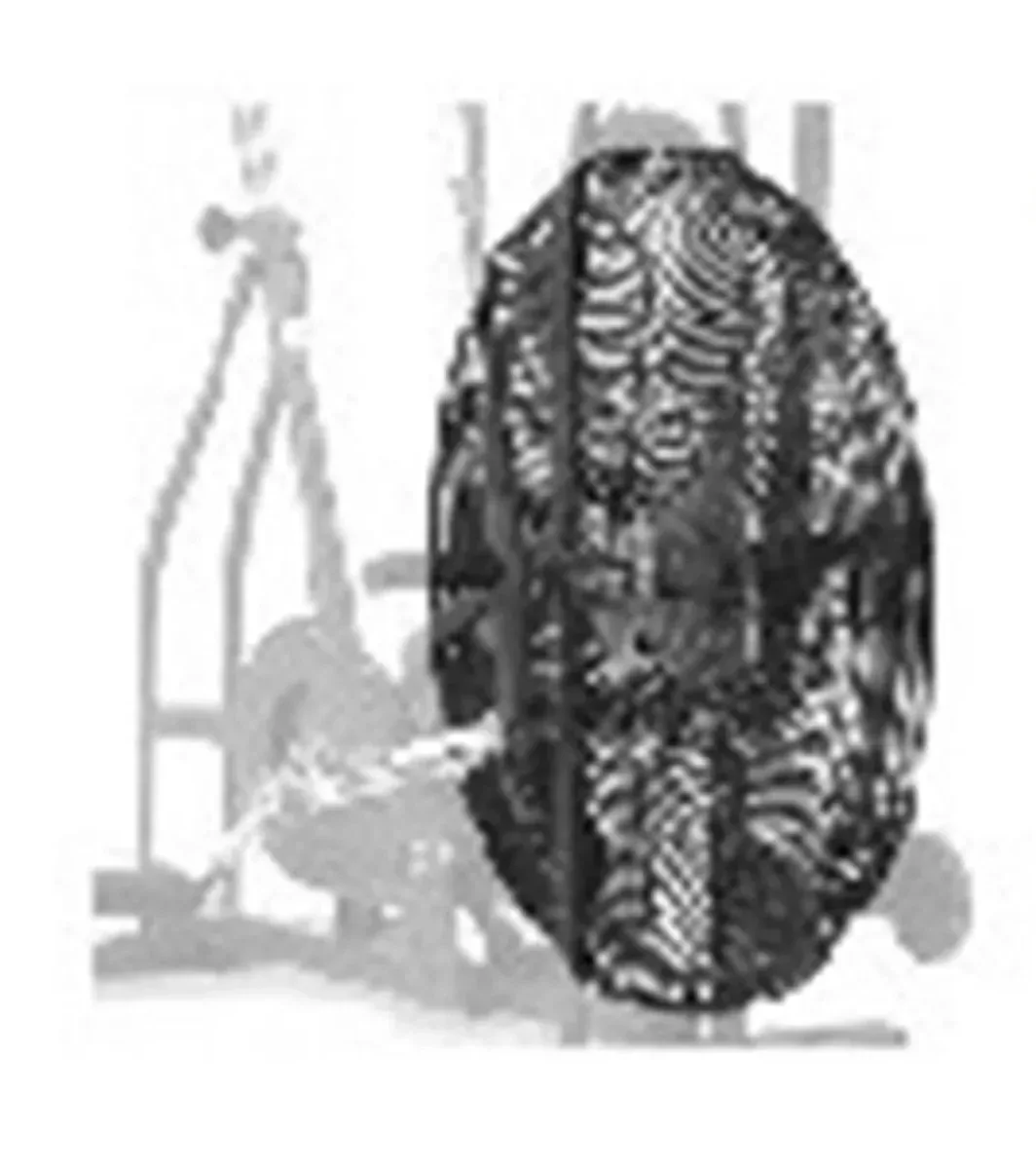 Schwinn Airdyne Main Fan Cover — Indoor Cycling Parts