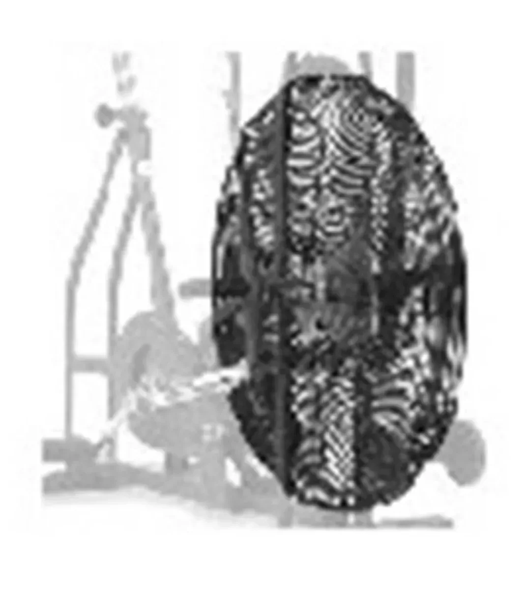 Schwinn Airdyne Main Fan Cover — Indoor Cycling Parts