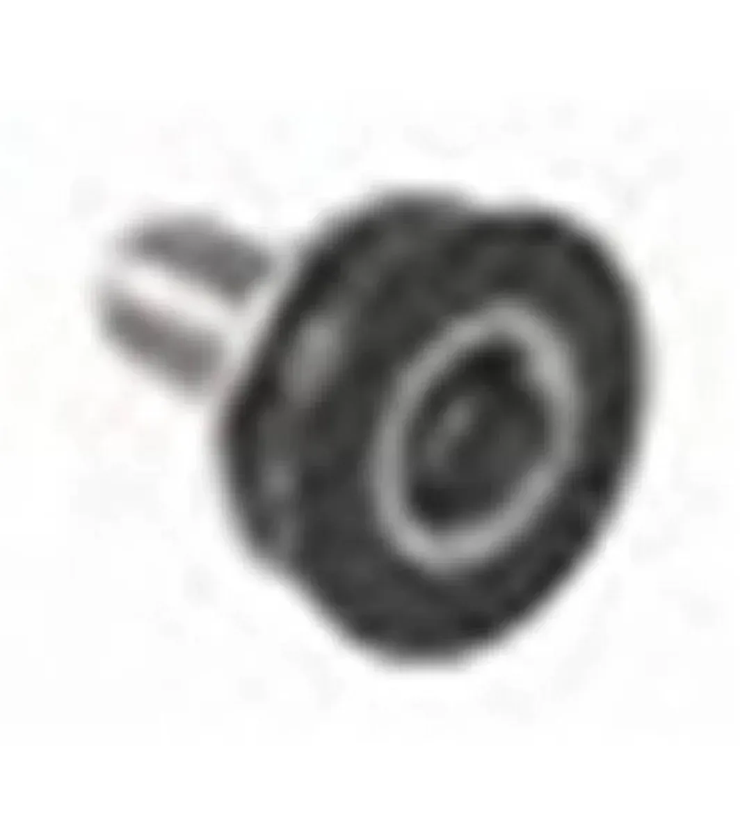 Schwinn Ic Evolution Crank Bolt — Indoor Cycling Parts