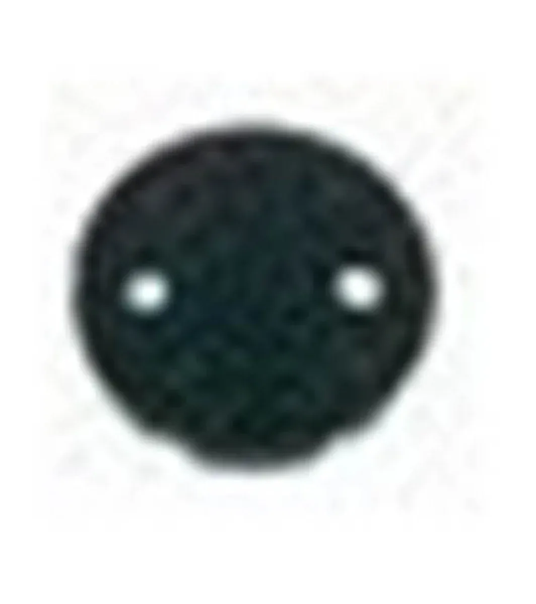 Schwinn Ic Elite Crank Dust Cap — Indoor Cycling Parts