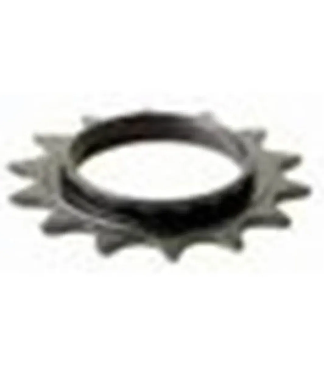 Schwinn Ic Evolution Flywheel Sprocket — Indoor Cycling Parts