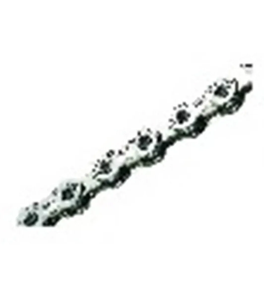 Schwinn Ic Elite Chain — Indoor Cycling Parts