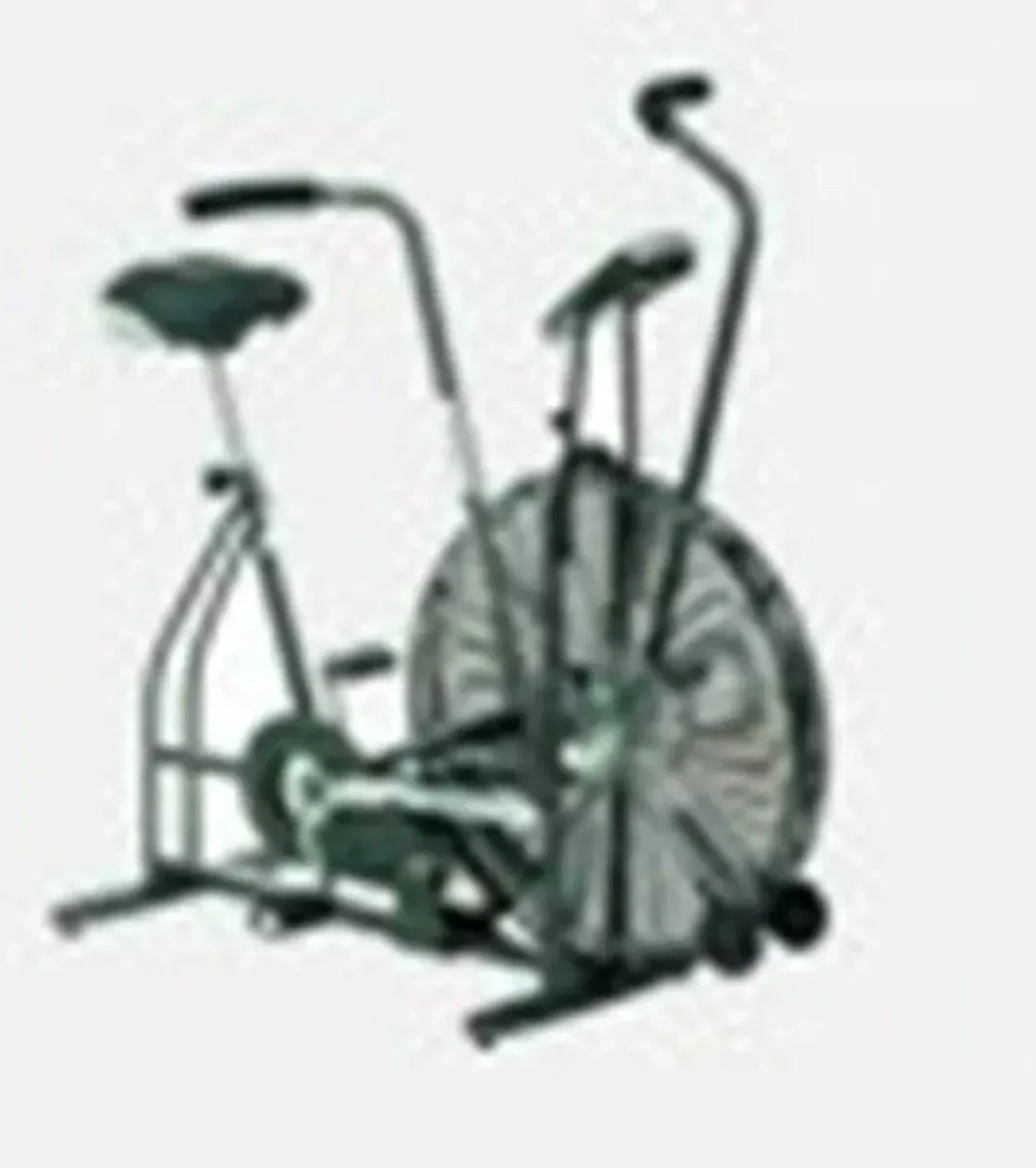 Schwinn Airdyne Air Bike — Krislynn Cycle & Fitness
