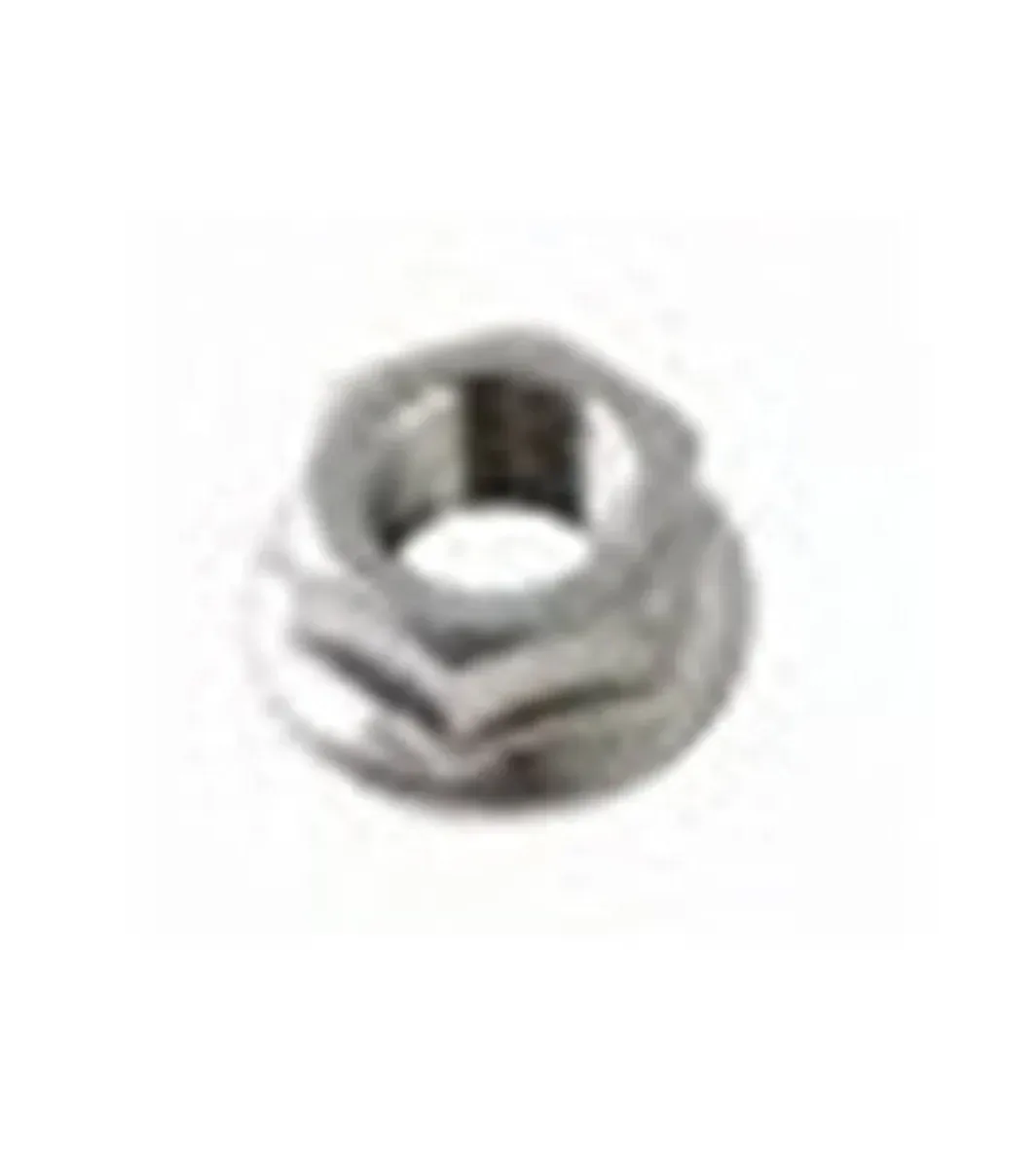 Schwinn Ic Evolution Axle Nut — Indoor Cycling Parts