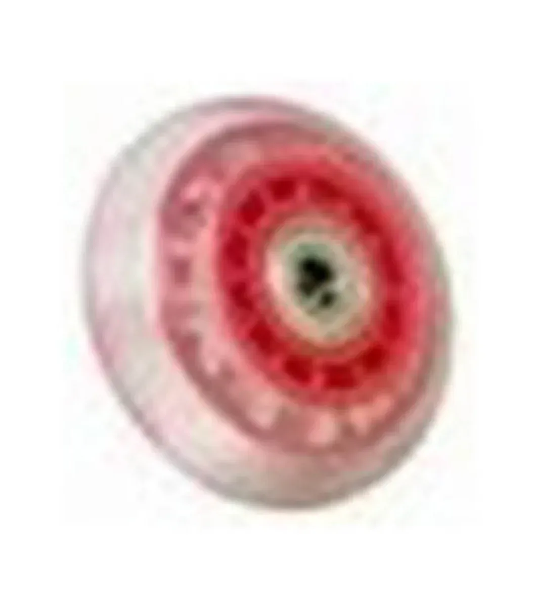 Schwinn Ic Pro Transport Wheel — Indoor Cycling Parts